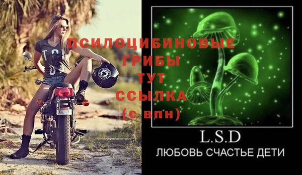 метадон Алексин