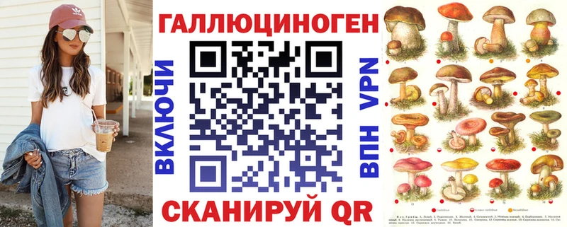 сколько стоит  Муравленко  Псилоцибиновые грибы Psilocybe 